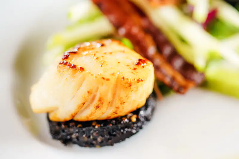 Scallops